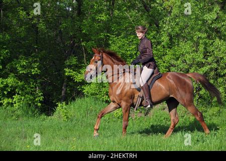 Les belles femmes équestres manèges cheval galopant dans les bois de glade au coucher du soleil Banque D'Images