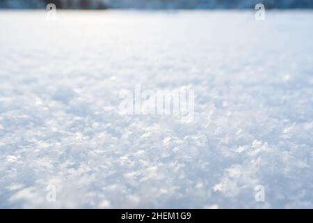 De beaux cristaux de flocons de neige brillent dans les rayons du soleil, sur la neige moelleuse, sur une journée glacielle, sur un fond flou.Copier l'espace. Banque D'Images