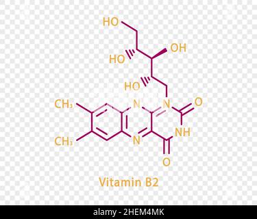 Formule chimique de la vitamine B2.Formule chimique structurale de vitamine B2 isolée sur fond transparent. Illustration de Vecteur