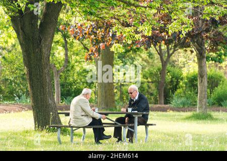Toronto, Canada, 2015 : vieillesse vivant dans une grande ville. Deux vieillards jouant à un jeu assis à une table de pique-nique dans une prairie dans un parc sous un grand sha Banque D'Images