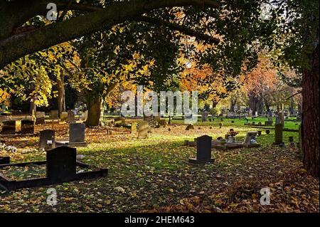 Vue imprenable sur la lumière à travers les branches d'arbres dans un vieux cimetière en automne Banque D'Images