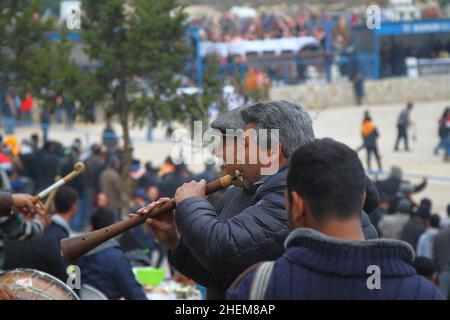 Bodrum, Turquie - 03 janvier 2016 : la lutte traditionnelle à dos de chameau est très populaire dans la région de la mer Égée en Turquie.Camisoles de fantaisie colorées pour le thi Banque D'Images