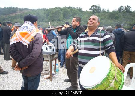 Bodrum, Turquie - 03 janvier 2016 : la lutte traditionnelle à dos de chameau est très populaire dans la région de la mer Égée en Turquie.Camisoles de fantaisie colorées pour le thi Banque D'Images