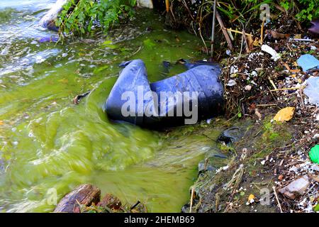 Bouteille en plastique dans l'eau de mer.Déchets de plastique sur la plage.Pollution de l'environnement mondial, déchets, décharges, eau verte en fleurs Banque D'Images