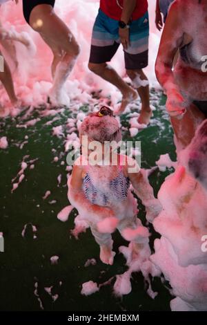 Une petite fille en mousse danse à une fête en mousse dans une foule d'adultes.Thaïlande Phuket 13 septembre 2018. Banque D'Images