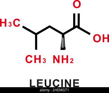 Formule chimique leucine.Structure moléculaire chimique de la leucine.Illustration vectorielle Illustration de Vecteur