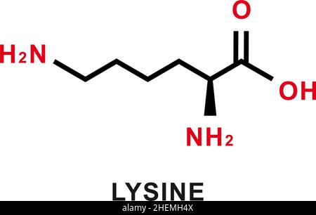 Formule chimique de la lysine.Structure moléculaire chimique de la lysine.Illustration vectorielle Illustration de Vecteur