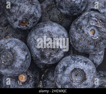 Photo macro d'un groupe de bleuets avec des gouttes d'eau. Banque D'Images