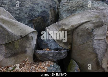 Gros plan des grands rochers utilisés sur la plage d'Aldwick pour contrôler l'érosion de la plage. Banque D'Images
