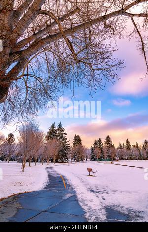 Lever du soleil au-dessus D'Un parc d'hiver à Calgary Banque D'Images