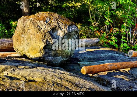 Un grand rocher sur la rive le long de l'île de Vancouver, en Colombie-Britannique, au Canada. Banque D'Images