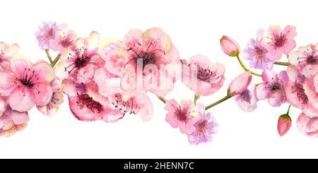 Bordure sans couture avec branches sakura fleuris sur fond blanc.Illustration aquarelle dessinée à la main Banque D'Images