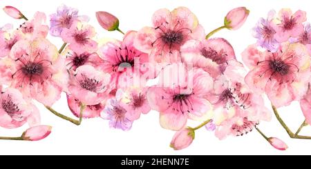 Bordure sans couture avec branches sakura fleuris sur fond blanc.Illustration aquarelle dessinée à la main Banque D'Images