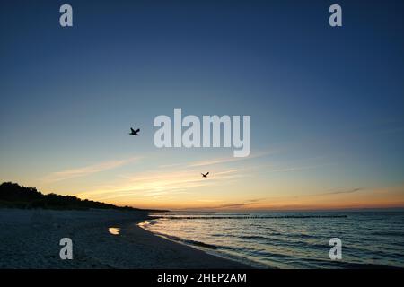 Vue sur la plage et la mer Baltique au coucher du soleil avec des mouettes dans le ciel.Ambiance lumineuse aux couleurs vives Banque D'Images