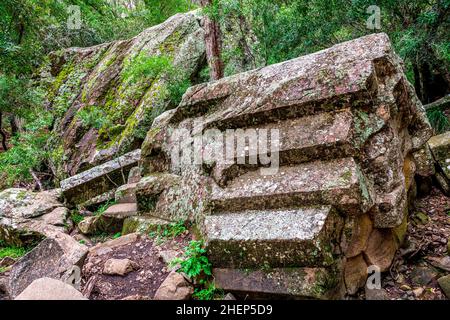 Sawn Rocks est un mur imposant de tuyaux pentagonaux de basalte.Un rappel emblématique du passé volcanique de Kaputar, situé dans le parc national du Mont Kaputar. Banque D'Images