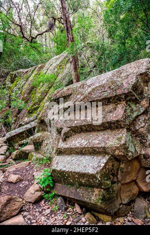 Sawn Rocks est un mur imposant de tuyaux pentagonaux de basalte.Un rappel emblématique du passé volcanique de Kaputar, situé dans le parc national du Mont Kaputar. Banque D'Images