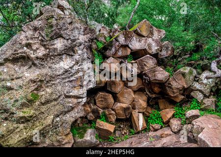 Sawn Rocks est un mur imposant de tuyaux pentagonaux de basalte.Un rappel emblématique du passé volcanique de Kaputar, situé dans le parc national du Mont Kaputar. Banque D'Images