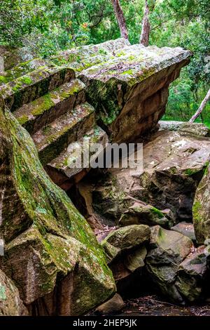 Sawn Rocks est un mur imposant de tuyaux pentagonaux de basalte.Un rappel emblématique du passé volcanique de Kaputar, situé dans le parc national du Mont Kaputar. Banque D'Images