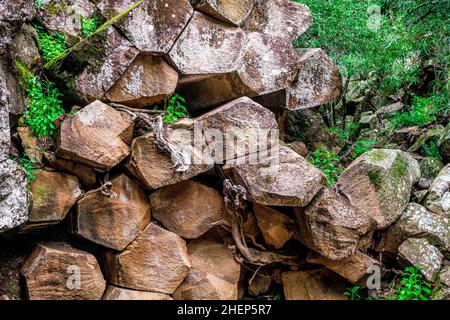 Sawn Rocks est un mur imposant de tuyaux pentagonaux de basalte.Un rappel emblématique du passé volcanique de Kaputar, situé dans le parc national du Mont Kaputar. Banque D'Images