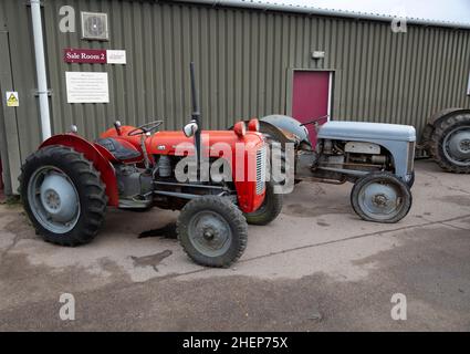 Des tracteurs Massey-Ferguson d'époque exposés à une vente aux enchères, Suffolk, Angleterre, Royaume-Uni Banque D'Images