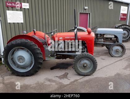 Des tracteurs Massey-Ferguson d'époque exposés à une vente aux enchères, Suffolk, Angleterre, Royaume-Uni Banque D'Images