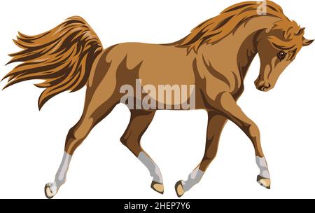 Cheval brun, cheval, une image d'un cheval galopant, un portrait d'un cheval pour un logo en marron Illustration de Vecteur