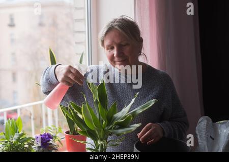 Femme prenant soin des plantes, pulvérisant une plante avec de l'eau pure à partir d'une bouteille de pulvérisation Banque D'Images