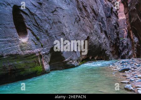 Sion avec étroite rivière vergin dans Zion National Park, Utah, USA. Banque D'Images