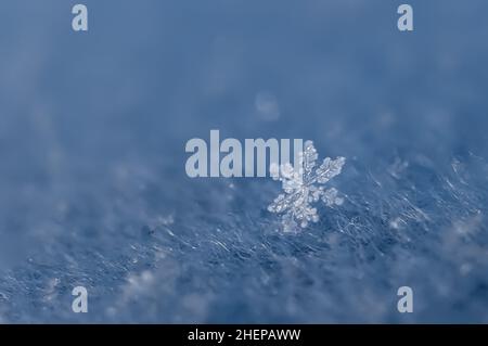 gros plan extrême des flocons de neige Banque D'Images