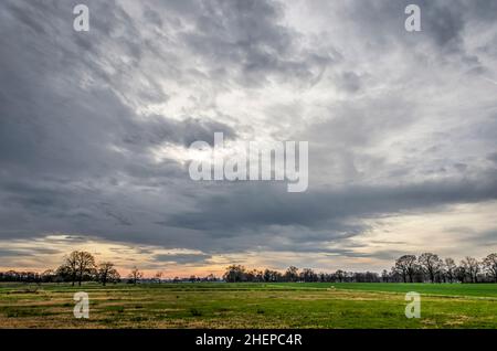 Ciel spectaculaire sur un paysage plat avec des champs, des prairies et des arbres et buissons dispersés près de Hardenberg, aux pays-Bas Banque D'Images