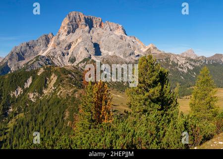 Vue de la Plaetzwiese, Piazza Prato, au Hohe Gaisl, Croda Rossa d'Ampezzo, Italie, Tyrol du Sud, Dolomites Banque D'Images