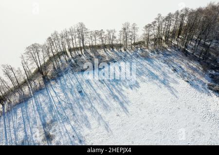 Paysage culturel enneigé avec pâturages et haies, photo de drone, Allemagne, Schleswig-Holstein Banque D'Images