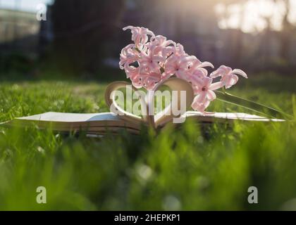 jacinthe rose en fleur sur un livre ouvert couché sur l'herbe verte sous la lumière du soleil. amour de la lecture, hello printemps, développement de soi et concept de sagesse.Profitez-en Banque D'Images