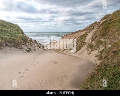 Accès à la plage dans les dunes de la côte danoise de la mer du Nord à Jutland, près de Norre Vorupor Banque D'Images