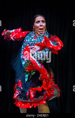 Alborea danseur traditionnel flamenco tapao avec musioc dans le centre-ville de Grenade Andalousie Espagne.Chaque jour, un chanteur, un guitariste et deux danses Banque D'Images