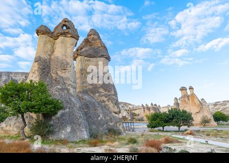 Cheminées de fées dans la vallée de Pasabag ou la vallée de Monks, Zelve Open Air Museum à Cappadoce, Turquie.Rochers en forme de champignons connus sous le nom de cheminées de fées. Banque D'Images