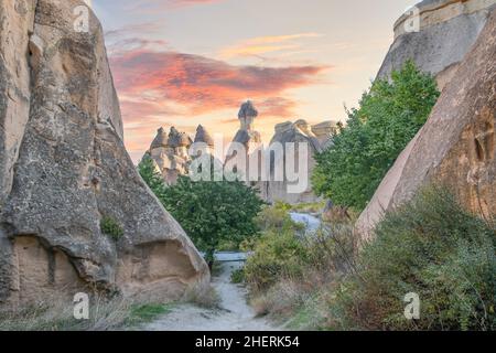 Cheminées de fées dans la vallée de Pasabag ou la vallée de Monks, Zelve Open Air Museum à Cappadoce, Turquie.Rochers en forme de champignons connus sous le nom de cheminées de fées. Banque D'Images