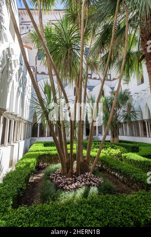 Le jardin du cloître dans le Chiostro del Paradiso, Duomo di Sant'Andrea. Cathédrale de St Andrew, Amalfi, Campanie, Italie Banque D'Images