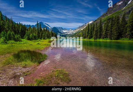 Belle vue sur la nature dans le parc national des Glaciers, Middle Fork Flathead River dans le parc national des Glaciers, Montana, USA, photo de nombreux pins à côté d'un Banque D'Images