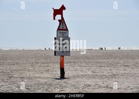 ST.PETER ORDING , ALLEMAGNE 22 juin 2020 la plage pour chiens sur Saint Peter Ording Banque D'Images