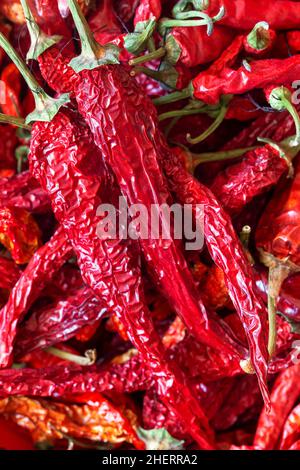 Gros plan sur les piments rouges chauds séchés Banque D'Images