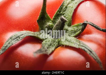 Macro d'une tomate fraîche en tranches.Bon pour le fond végétal Banque D'Images