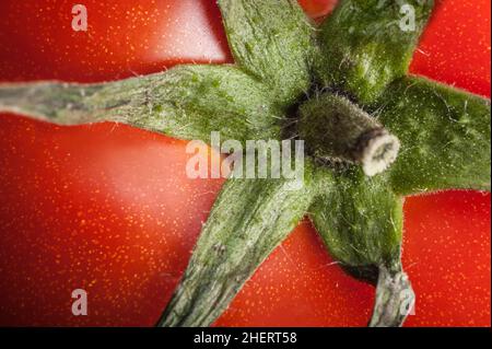 Macro d'une tomate fraîche en tranches.Bon pour le fond végétal Banque D'Images