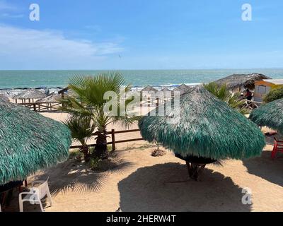 Palapas de palmier sur la plage de Kino Bay, Sonora. Couleur verte (photo par Luis Gutierrez / NortePhoto) Palapas de palmera en la playa Kino Bay, Sonora. Couleur vert (photo par Luis Gutierrez / NortePhoto) Banque D'Images