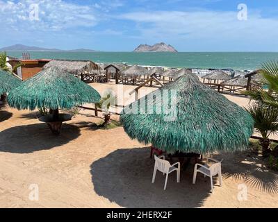 Palapas de palmier sur la plage de Kino Bay, Sonora. Couleur verte (photo par Luis Gutierrez / NortePhoto) Palapas de palmera en la playa Kino Bay, Sonora. Couleur vert (photo par Luis Gutierrez / NortePhoto) Banque D'Images