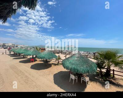 Palapas de palmier sur la plage de Kino Bay, Sonora. Couleur verte (photo par Luis Gutierrez / NortePhoto) Palapas de palmera en la playa Kino Bay, Sonora. Couleur vert (photo par Luis Gutierrez / NortePhoto) Banque D'Images