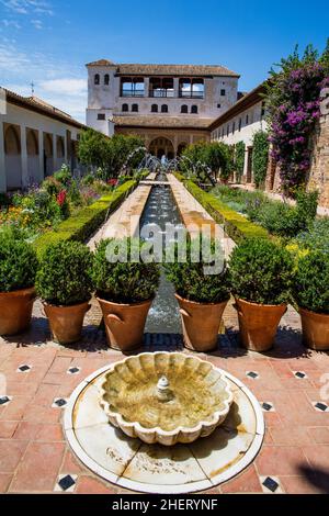 Cour du canal d'irrigation, patio de la Acequia, Generalife, palais d'été des souverains mauresques, le plus ancien complexe de jardins mauresques conservé Banque D'Images