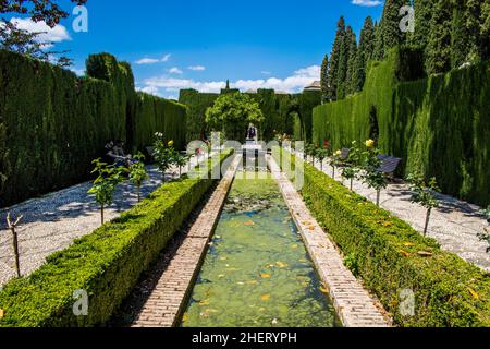 Generalife, palais d'été des dirigeants mauresques, le plus ancien complexe de jardins mauresques conservé, Grenade, Andalousie, Espagne Banque D'Images