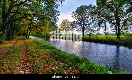 Paysage d'automne avec des arbres colorés le long de la rivière Elde dans le Mecklembourg Banque D'Images