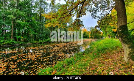 Paysage d'automne avec des arbres colorés le long de la rivière Elde dans le Mecklembourg Banque D'Images